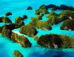 Get An Amazing Offer On Andaman  Tour Packages 5 Night 6 Day