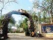 Summer Special Offer On Wild Life Gir national park Tour Packages