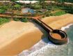 special offer in this winter on goa with couple.