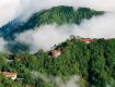 Get an exclusive offer on 2nights and 3days in mussoorie