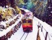 Monsoon Special Offers on Shimla Tour Packages.