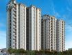 Property Dealer in Ranchi