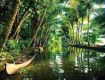 enjoy the feeling of the nature in kerala with best holiday packages