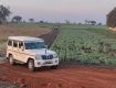 PRIME PLOTS FOR SALE
