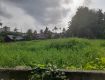 10 cent original land for sale in kadavanthra