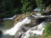 Find out the best deals on Honeymoon Tour Package to Kumarakom
