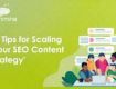 Find SEO Company in Mumbai, India