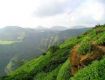 Explore the latest deal on monsoon in Lonawala hill-station with Group.