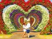 Chandigarh Tour Packaages - Book Chandigarh Packages Online from Thomas Cook and get great offers on your Chandigarh Trip Plan
