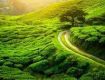 Multiple offers on monsoon in Darjeeling with Family