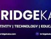 Best digital marketing and website designing agency in rohini Delhi| Bridge Kala