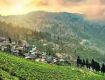 Great holiday packages complete with sightseeing tours For Darjeeling