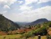Get best amazing offer on this july in Ooty