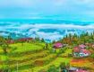 Fresh yourself by Nature Tour package of Darjeeling