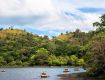 Interesting Wildlife Tour Packages for Wayanad
