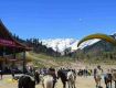 Adorable offer in this lovely monsoon season at manali with your group