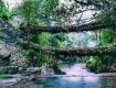 Shillong Twang Tour Package Jewels of North East India with Kaziringa & Dirang