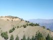 60 Bigha land available for Sale in Shimla Himachal Pradesh