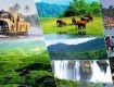 Get amazing deal on Kerala solo trip