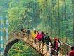 Explore the best deal on this summer in Meghalaya for adventure