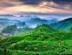 Relax yourself by availing Yoga and Spa Tour packages