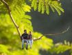 Multiple Price on Winter in Himachal Pradesh with Couple
