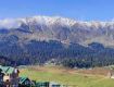 Check out the latest on Diwali offer in Kashmir.