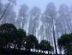 Get a best vacation deals on tour package of mussoorie