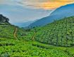 Explore the best Diwali offers on Kashmir package.