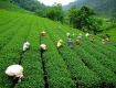 Darjeeling, India - The Queen of Hill Stations