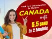 Best Immigration Consultants in Patiala