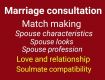 Match making astrology services