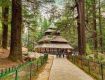Check out the latest deal on Manali Tour packages for friends.