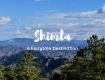 New year exclusive deals and offers on Shimla package.