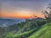 Unwind in the lap of nature in Coorg