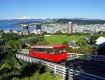 Get excisting offer for family group tour in new zealand tour package 5 night 6 days