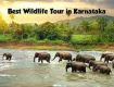 Chack out the latest/best offers on Karnataka 9 night 10 days in april Adventure tour package.