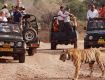 Udaipur Jaisalmer Tour Packarge: Luxury Rajasthan Edition
