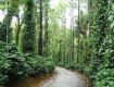 Fresh yourself by Nature Tour at coorg