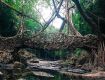 special offer for you visiting places of meghalaya 6 days pakages