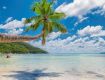 Exclusive Offer in this winter season in Goa with your Family Package
