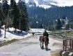 Best Time To Visit Gulmarg