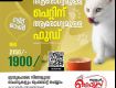 Meo Cat Food Dealers In Thiruvilwamala, Thrissur