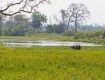 Relax yourself by availing Assam tour packages
