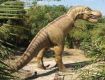 Best offers on Eco Tour packages in science City.