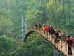 Let the grab the hot summer vacation hot deals on tour at MeghalayaBook now.