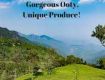 OOTY:Where soul dance with the Clouds .Book The Tour.