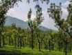 The land of natural beauty can't be miss out to visit at Ooty.