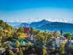 Romantic Tour Packages For Shimla.