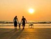 Cheap fair available on Family Tour Packages For Goa.